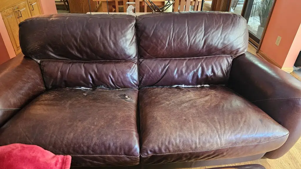 damaged sofa cushions